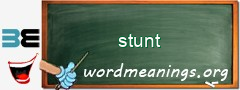 WordMeaning blackboard for stunt